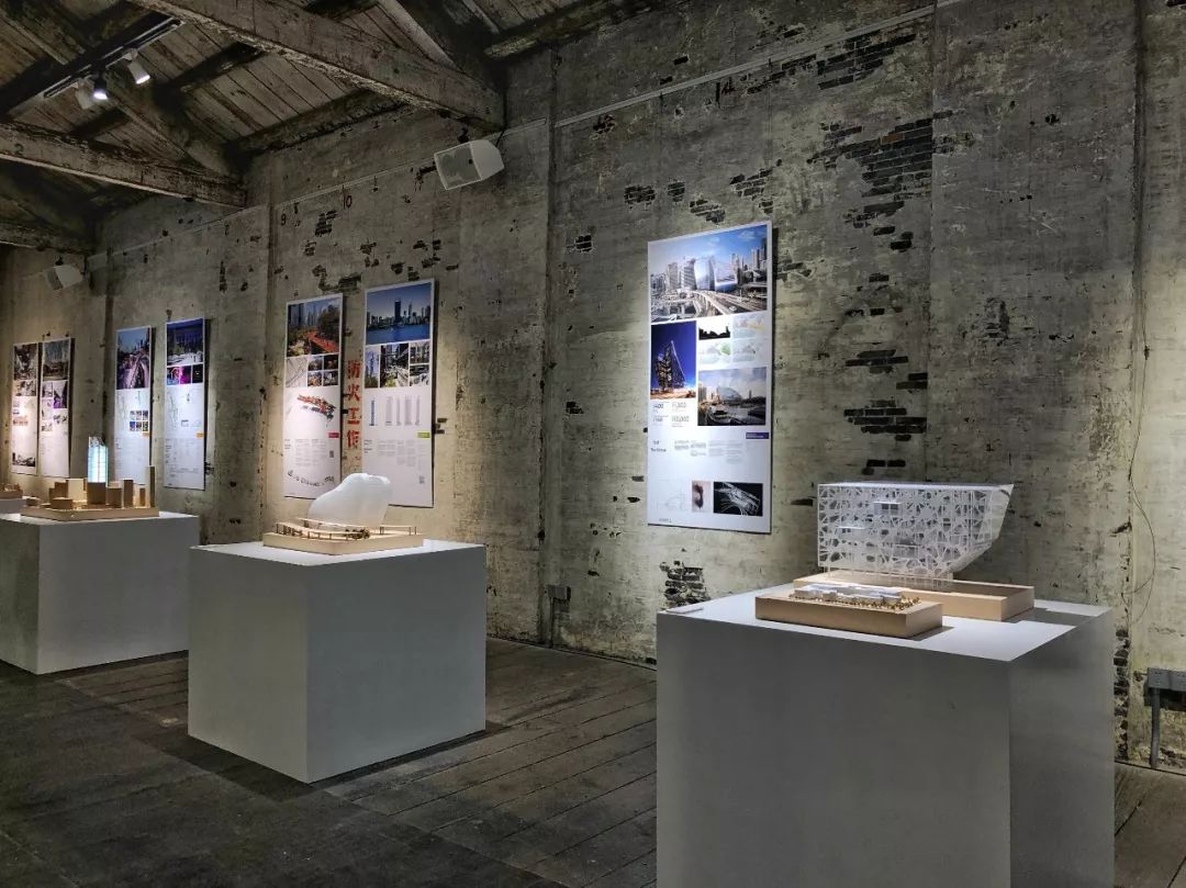 拒绝吃土吃狗粮,拒绝吃土