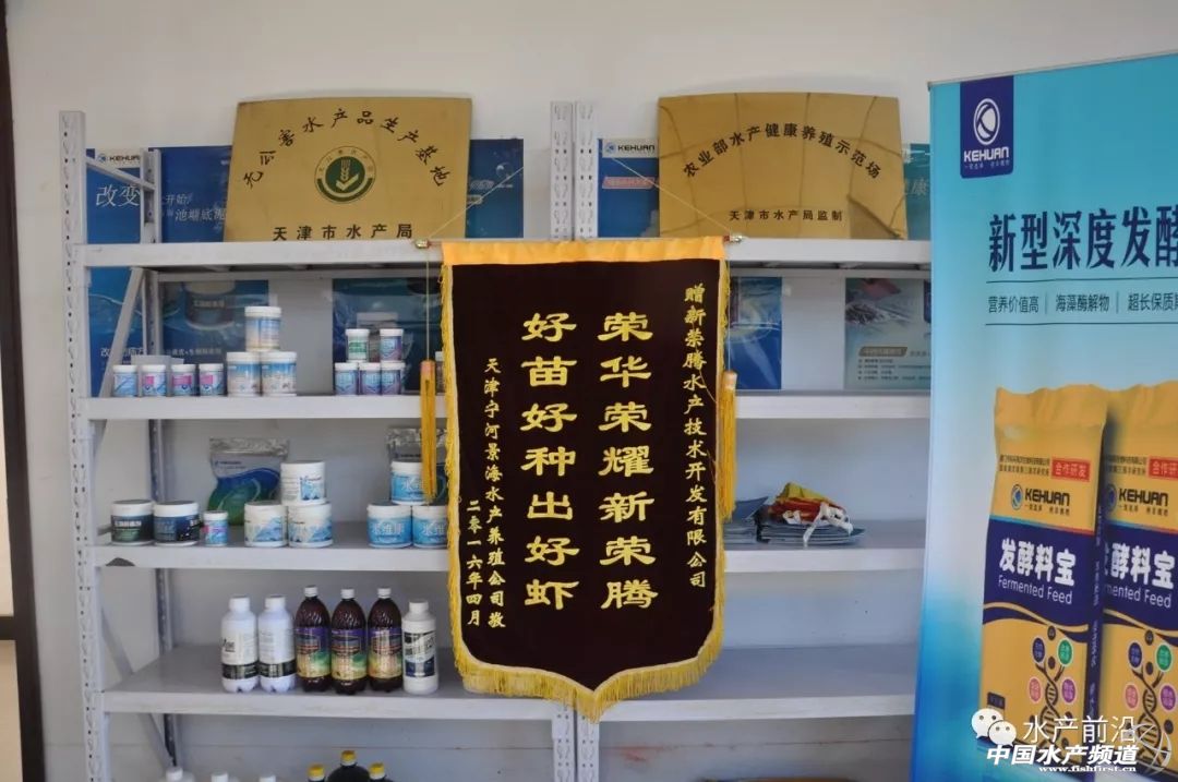 好虾苗如何定义？十年忠实粉丝告诉你这尾虾的优势