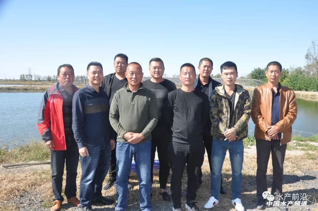 好虾苗如何定义？十年忠实粉丝告诉你这尾虾的优势