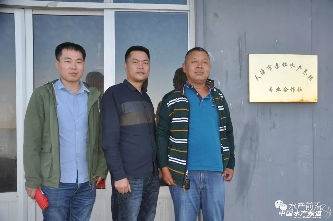 好虾苗如何定义？十年忠实粉丝告诉你这尾虾的优势