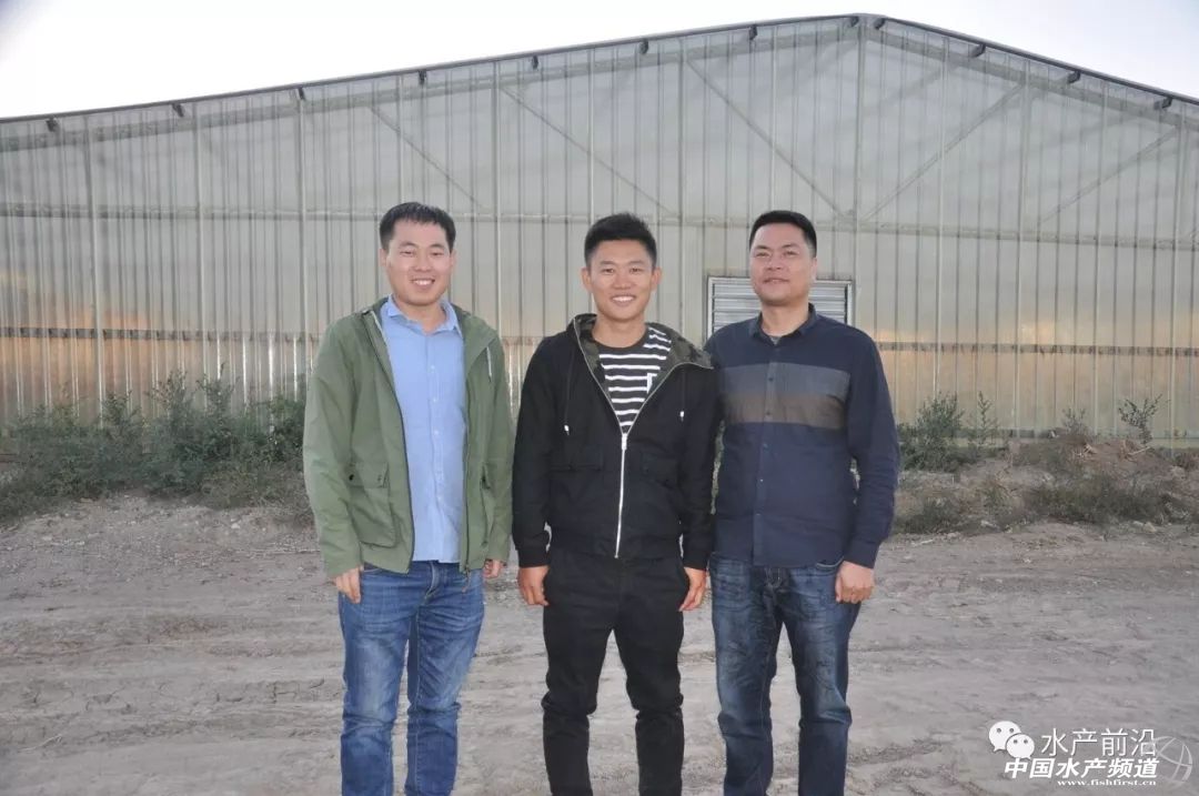 好虾苗如何定义？十年忠实粉丝告诉你这尾虾的优势