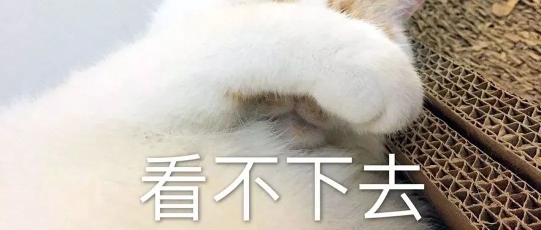 萌爪神吐槽馆，说你想说的