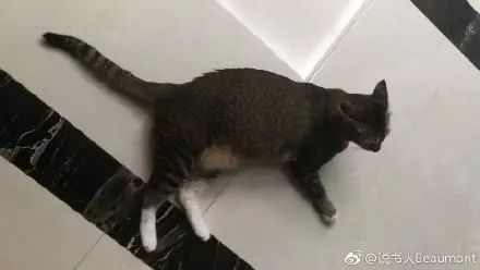 萌爪神吐槽馆，说你想说的