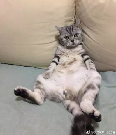 萌爪神吐槽馆，说你想说的