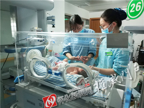 早产宝宝袋鼠式护理,袋鼠式护理新生儿