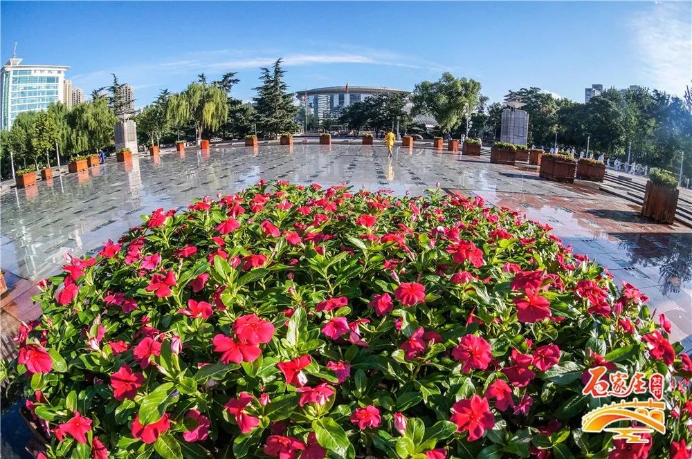 夏天情侣约会适合去的地方石家庄,石家庄适合情侣约会的十大去处