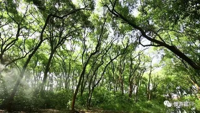 怎么去国外打工不花钱,怎么出去旅游不花钱