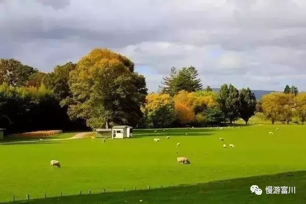 怎么去国外打工不花钱,怎么出去旅游不花钱