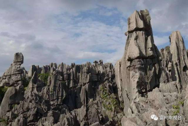 怎么去国外打工不花钱,怎么出去旅游不花钱