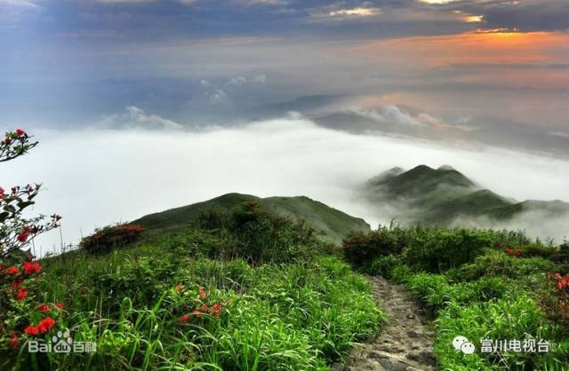 怎么去国外打工不花钱,怎么出去旅游不花钱