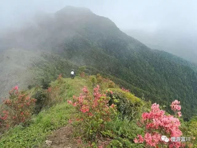 怎么去国外打工不花钱,怎么出去旅游不花钱