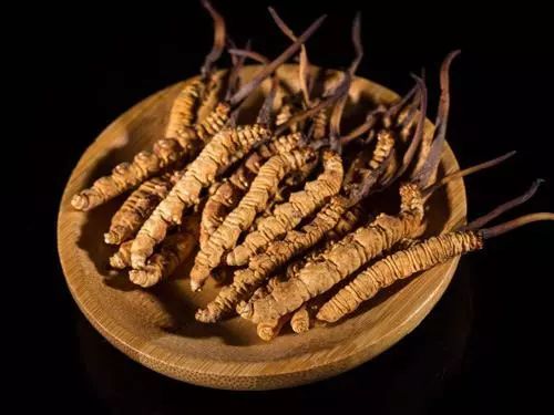 冬虫夏草保健食品监管,冬虫夏草被踢出药典