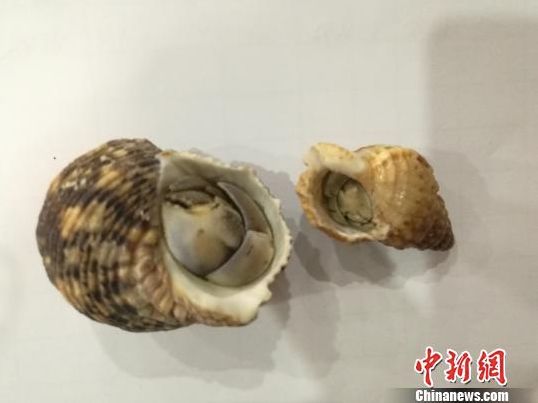 不小心吃到了寄生虫该怎么自救,食物生吃要谨防寄生虫