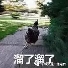 「大卫小夫是日话题」丨哪一个时刻让你觉得与“00后”有代沟了