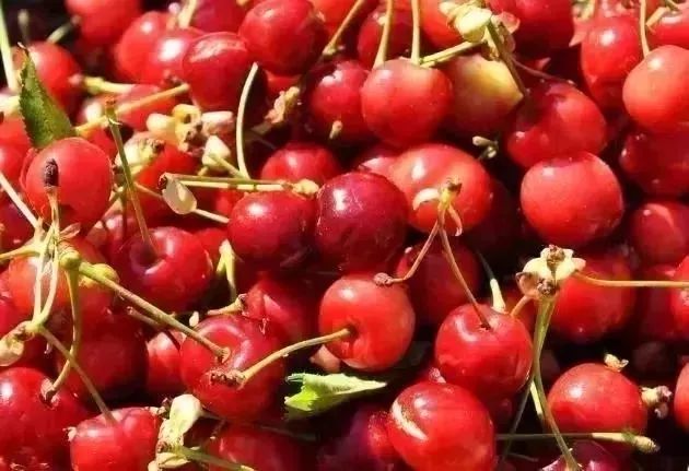 「提醒」很多福建人被这8个*局骗**泄露了个人信息，却不知道……