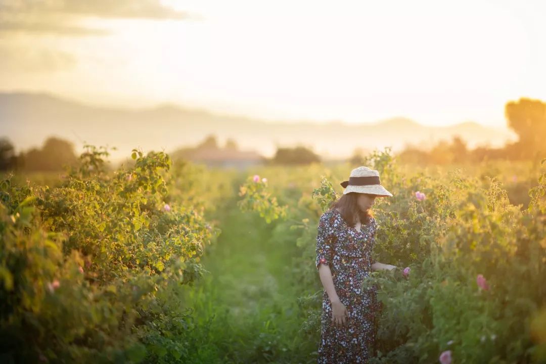 护肤水保湿补水正品大瓶直播,护肤水团购