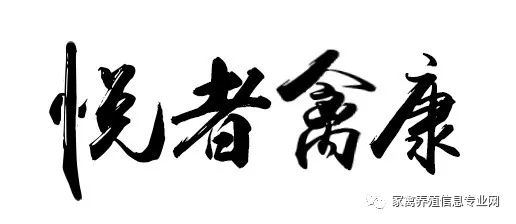 鸭子大舌头病怎么治疗,鸭子有时瘸腿怎么办