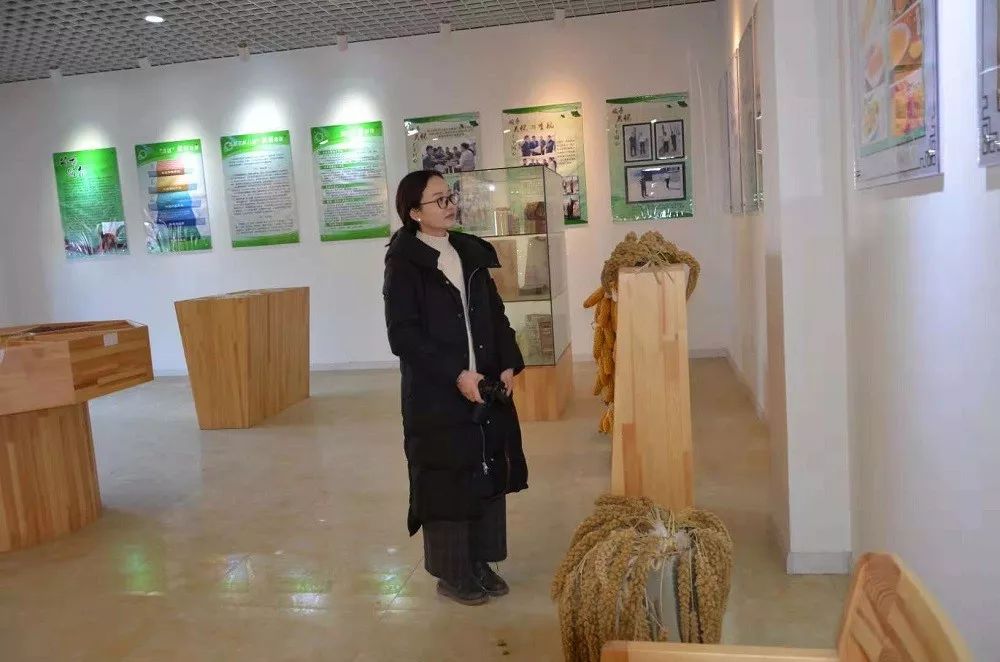 「本土」碗托情长