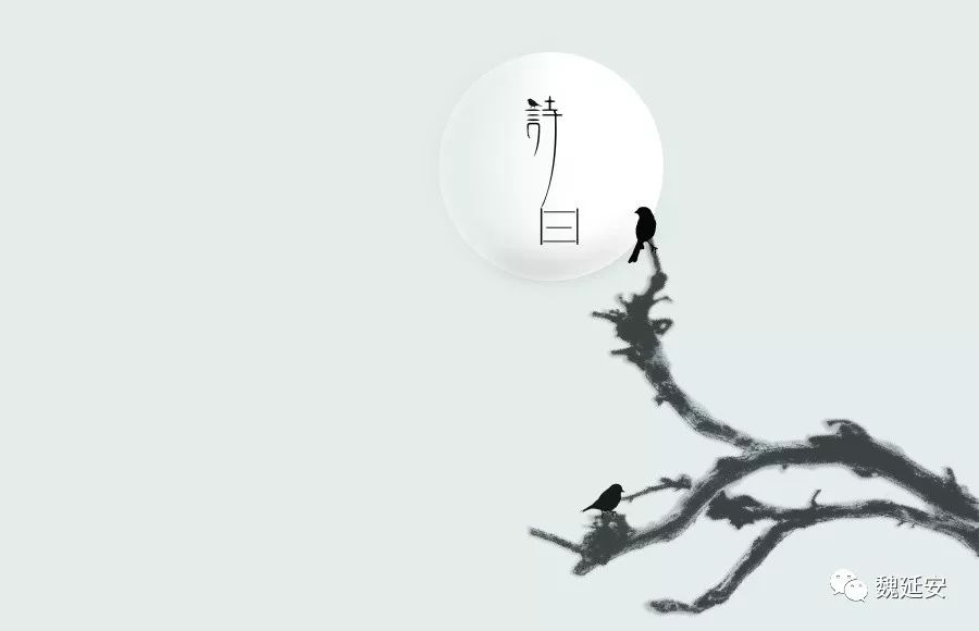 周末读书周一周二休息,柏杨白话资治通鉴免费阅读