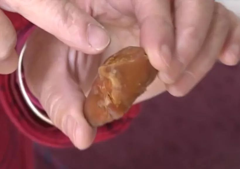 女子杀鸡得上亿元鸡宝,杀鸡发现什么东西值钱