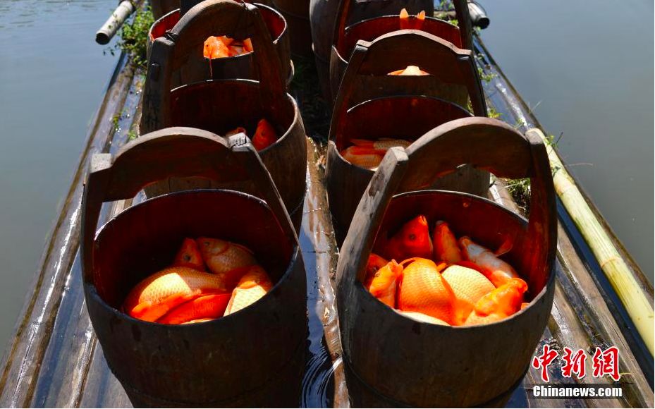 不小心吃到了寄生虫该怎么自救,食物生吃要谨防寄生虫