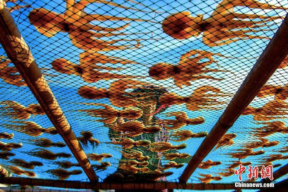 不小心吃到了寄生虫该怎么自救,食物生吃要谨防寄生虫