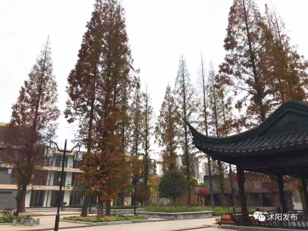 沭阳旅游路线推荐,沭阳适合旅游的地方