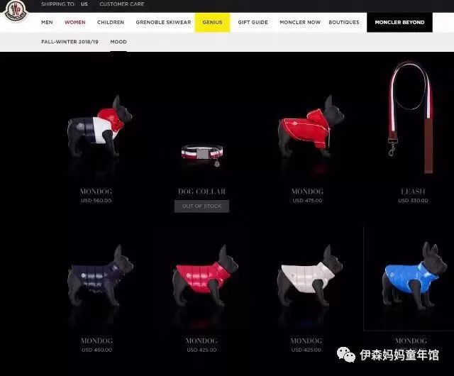 当狗穿上自己的衣服的时候,当狗穿上羽绒服