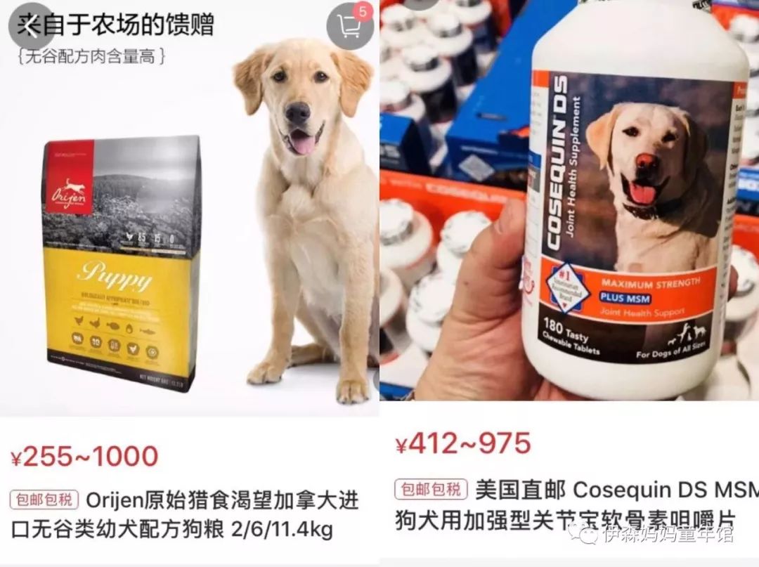 当狗穿上自己的衣服的时候,当狗穿上羽绒服