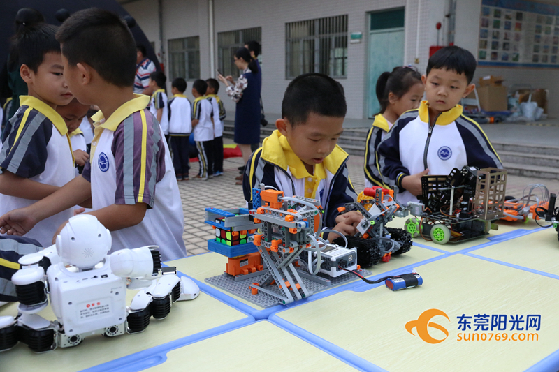 东莞室内水上乐园儿童水上滑梯,东莞滑梯水上乐园