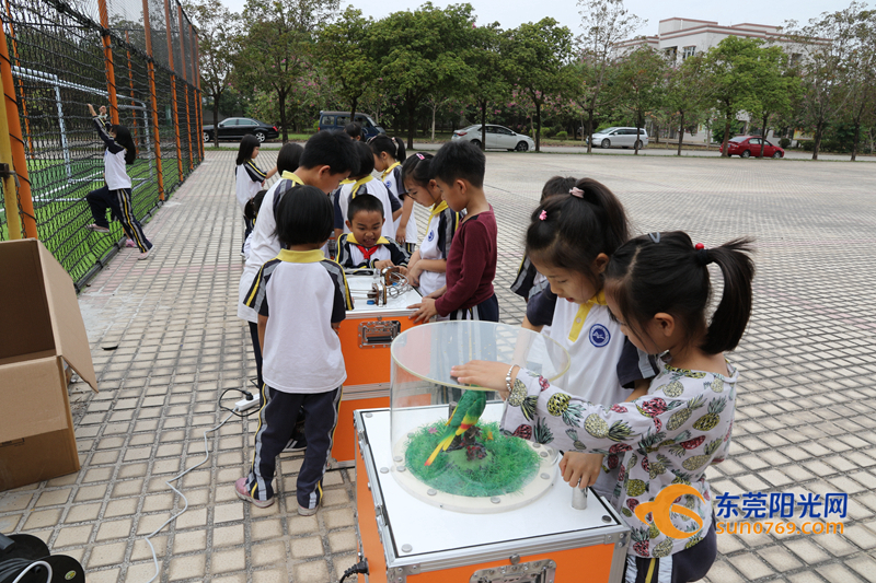 东莞室内水上乐园儿童水上滑梯,东莞滑梯水上乐园