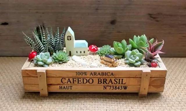 鍞湁鑲夎倝瀵规垜涓嶇涓嶅純,鍙湁鑲夎倝瀵规垜涓嶇涓嶅純