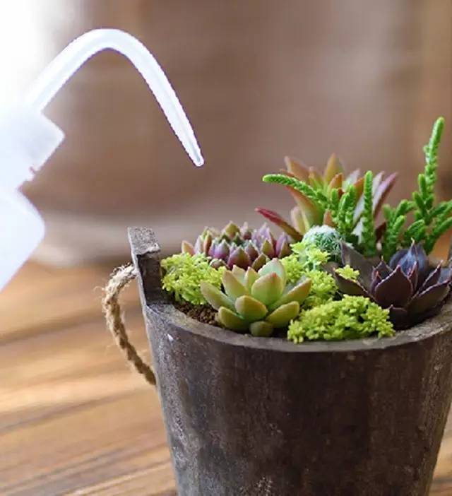 鍞湁鑲夎倝瀵规垜涓嶇涓嶅純,鍙湁鑲夎倝瀵规垜涓嶇涓嶅純