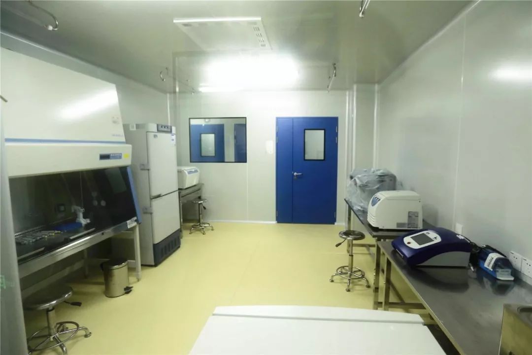 广东地贫基因疗法的最新进展,地贫突破