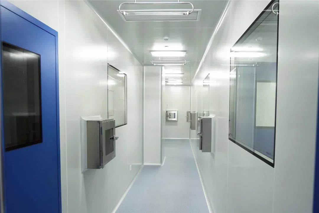 广东地贫基因疗法的最新进展,地贫突破