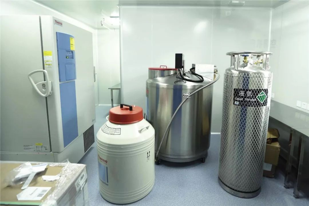 广东地贫基因疗法的最新进展,地贫突破