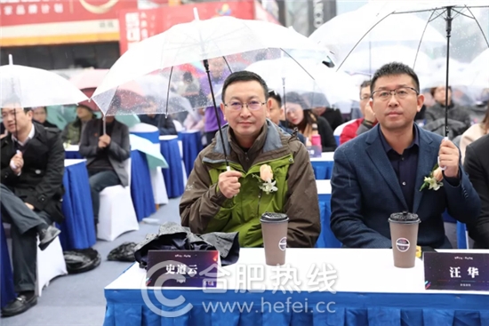 合肥这几天的事,合肥家居市场现状