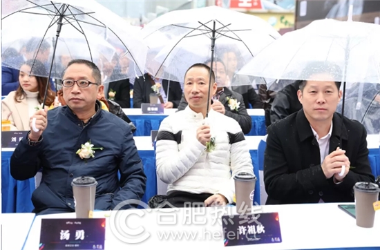 合肥这几天的事,合肥家居市场现状