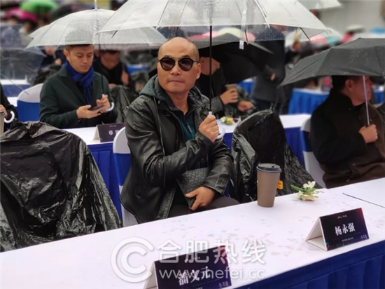 合肥这几天的事,合肥家居市场现状