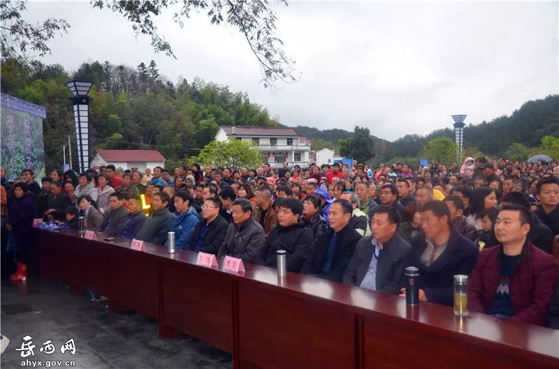 第八届油菜花节,乡村振兴油菜花节