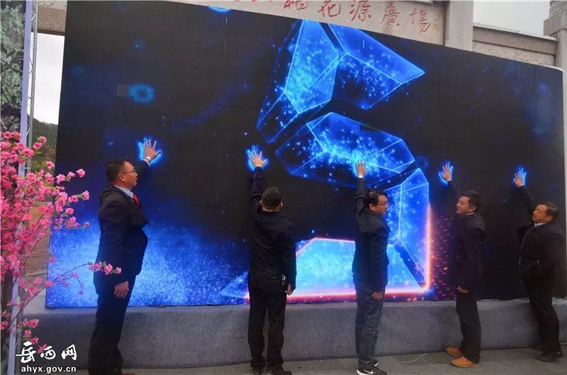 第八届油菜花节,乡村振兴油菜花节