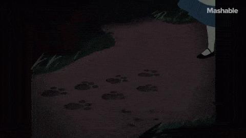 每个人都有多少个恐怖故事,每个人的成长都是一场凶杀案