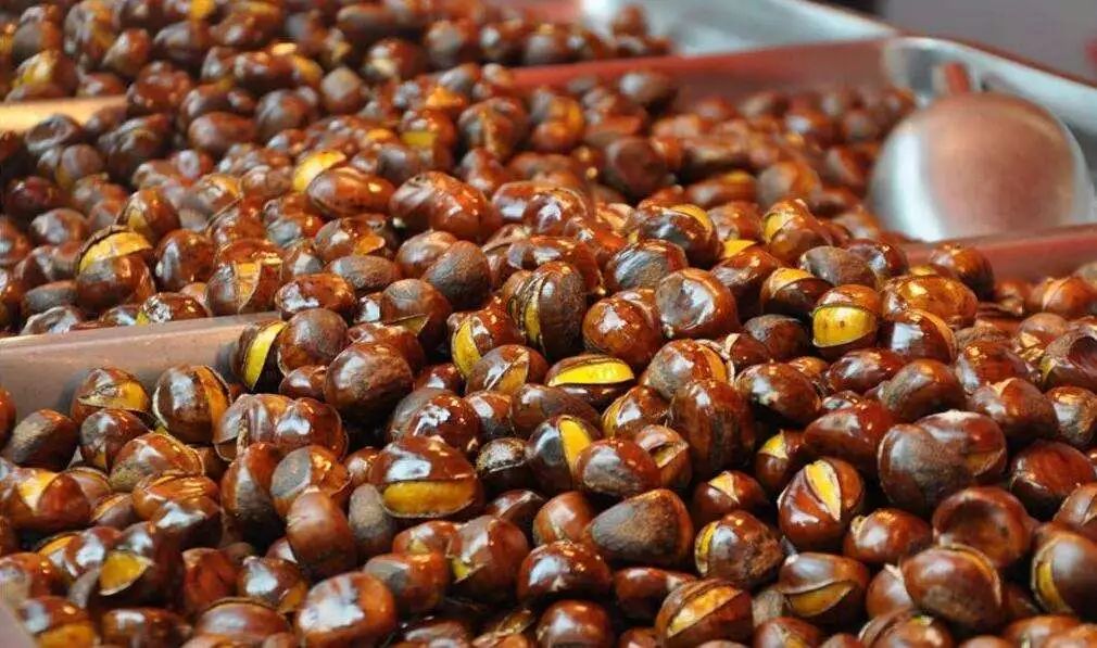 吃栗子多了会恶心反胃吗,吃栗子导致反酸水