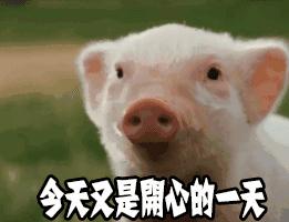 是神药还是“萝卜”？活跃在朋友圈的玛卡，玩弄了多少男人的心？