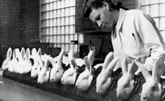 是神药还是“萝卜”？活跃在朋友圈的玛卡，玩弄了多少男人的心？