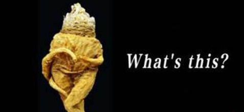 是神药还是“萝卜”？活跃在朋友圈的玛卡，玩弄了多少男人的心？