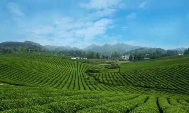 遵义周末出游推荐,在遵义五一单人旅游推荐