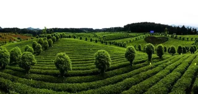 遵义周末出游推荐,在遵义五一单人旅游推荐