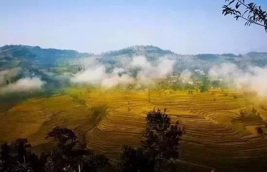 遵义周末出游推荐,在遵义五一单人旅游推荐