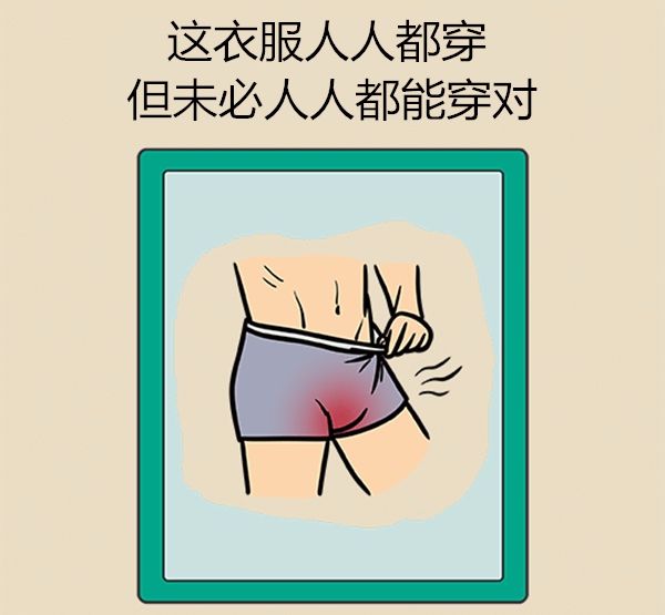 生活小妙招系裤带,排扣裤平时穿的正确穿法